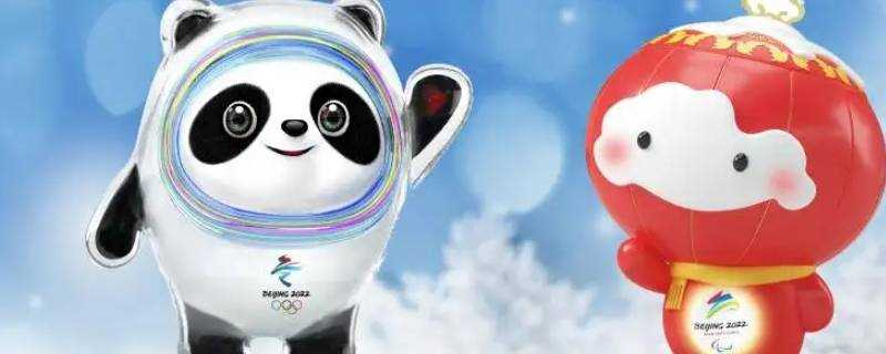 冰墩墩的來(lái)源是什么 生活